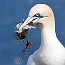 thumbs/IMG_3051.jpg